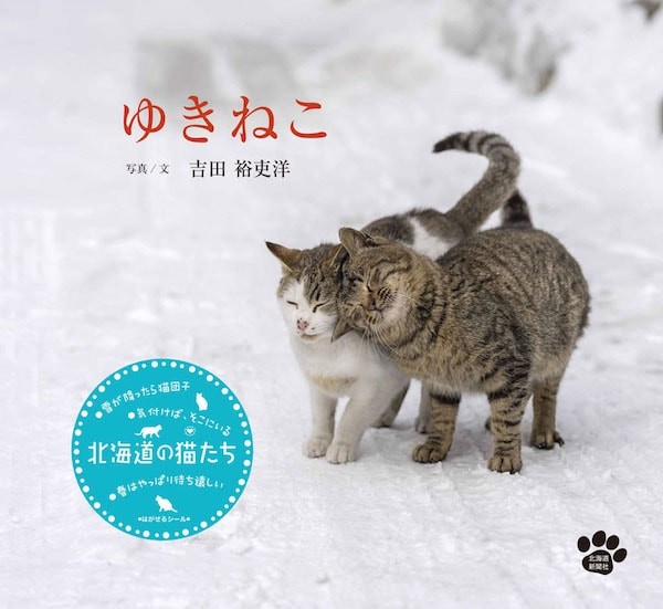 北海道の猫に密着した2冊の写真集「ゆきねこ&かべねこ」の写真展が開催