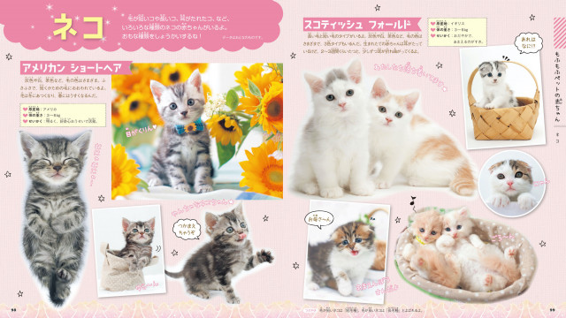 アメショやスコティッシュフォールドも♪図鑑LIVEの最新刊は「もふもふ動物の赤ちゃん」