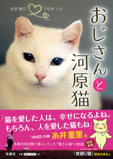 河川敷に捨てられたネコを守ろうとしたのは…3人のおじさんだった!書籍「おじさんと河原猫」