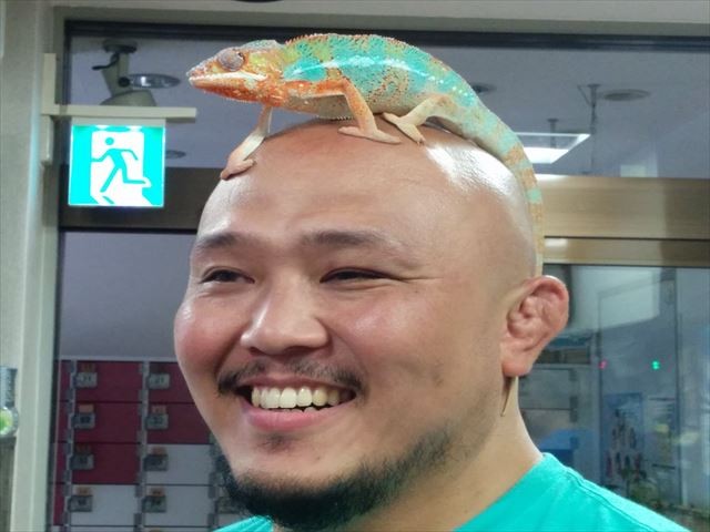 【柴田惣一コラム】「レスラーとスーパークールビズ」