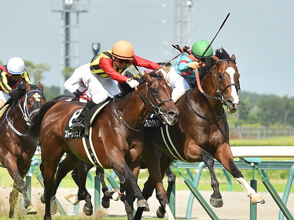 ローカルハンデ重賞は宝の山!小倉記念はコース適性重視で高配当ゲット