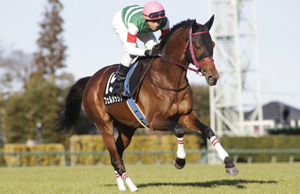 人気薄のディープ産駒が狙い目。小倉記念は3頭の穴馬がアツい配当を生む