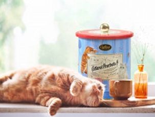 イタリアの老舗チョコメーカーから「猫の日コレクション」が登場！7種類の商品パッケージが猫まみれ