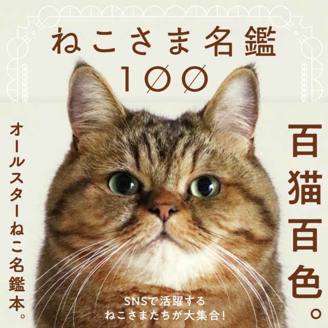 こんな写真集を待っていたニャ 人気猫のプロフィールが分かる ねこさま名鑑100 Cat Press 一昔前までは人気猫と言えば テレビcm に出 ｄメニューニュース Nttドコモ
