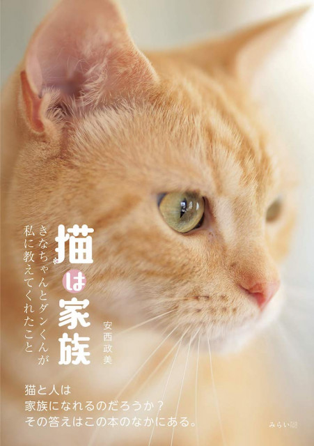 人と猫が一緒に幸せになれますように 猫愛あふれる写真にポエムを添えた写真集 猫は家族 Cat Press 猫写真家 安西政美 あんざい まさみ さ ｄメニューニュース Nttドコモ