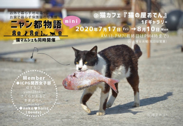 猫イベントも再開の動きが始まる ねこ写真展 ニャン都物語 Mini 神戸の猫カフェで開催 Cat Press 新型コロナウイルスの感染拡大を受けて 全 ｄメニューニュース Nttドコモ