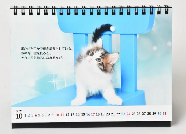 直木賞作家 志茂田景樹さんの猫カレンダーが今年も発売 辛い時も猫の写真と名言で癒やされるニャ Cat Press 作家の志茂田景樹さんによる名言 と かわい ｄメニューニュース Nttドコモ