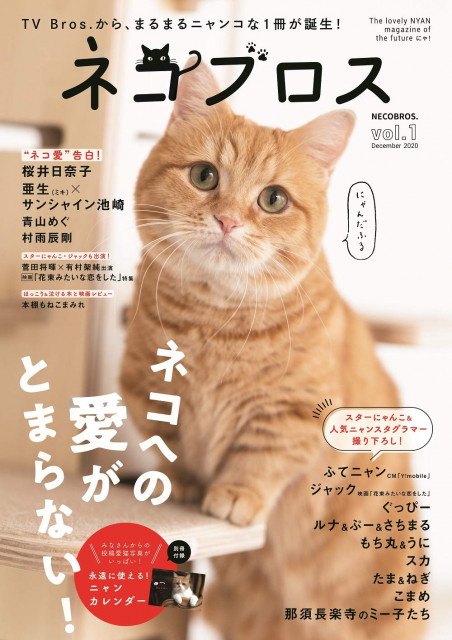 ふてニャン 桜井日奈子 サンシャイン池崎も登場 猫愛が詰まった雑誌 ネコブロス が爆誕 Cat Press 東京ニュース通信社が発行しているテレビ情 ｄメニューニュース Nttドコモ