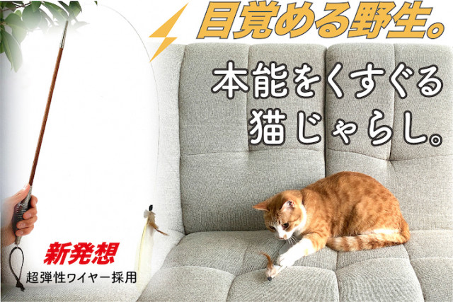 俊敏な動きで猫の狩猟本能を刺激する!バネ屋さんが開発した猫じゃらし「ばねじゃらし」