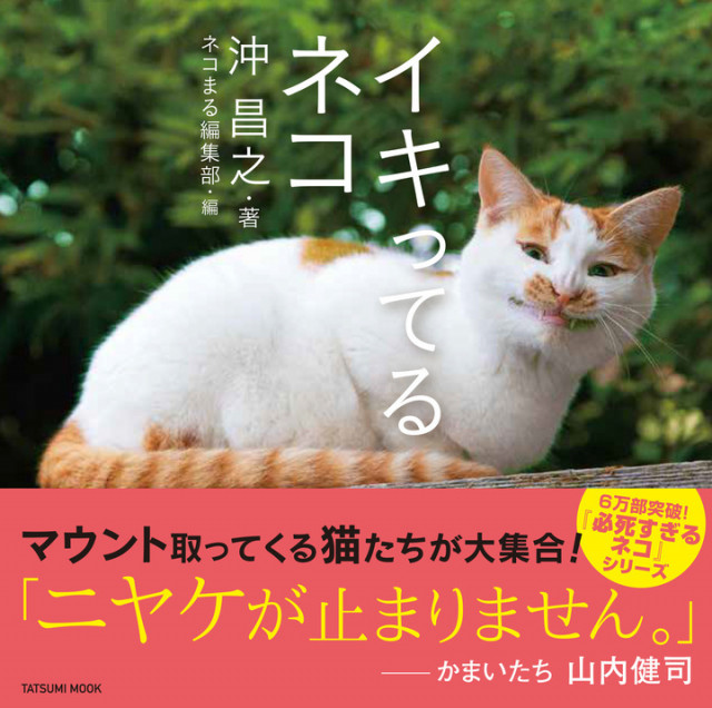 ヤンキー顔の猫に癒やされる！ねこカメラマン・沖昌之さんの新作写真集 