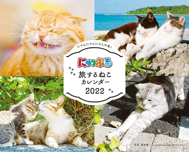 猫の旅行誌 にゃっぷる から22年版のカレンダーが登場 月替りで島ねこや街ねこを楽しめる Cat Press 写真家が旅先で出会った表情豊かな猫 たちの ｄメニューニュース Nttドコモ