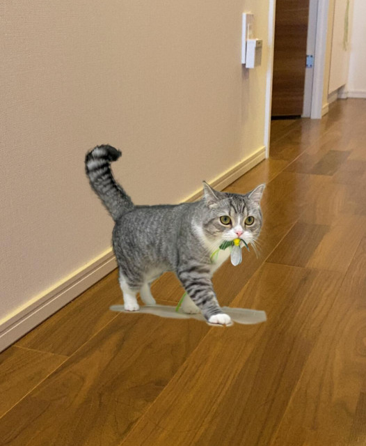 あのギネス猫が自宅に出現!?もちまる日記の新作カレンダーが登場、AR写真の特典付き
