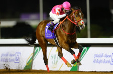 ウィスパー 馬情報 スポーツ情報はdメニュースポーツ