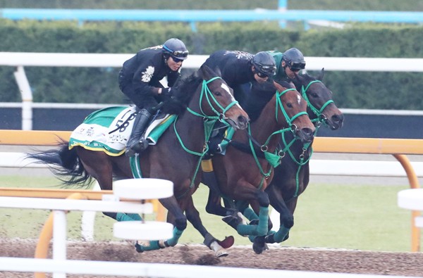 距離ならアーモンド以上。オークスは「サトノワルキューレの騎行」だ
