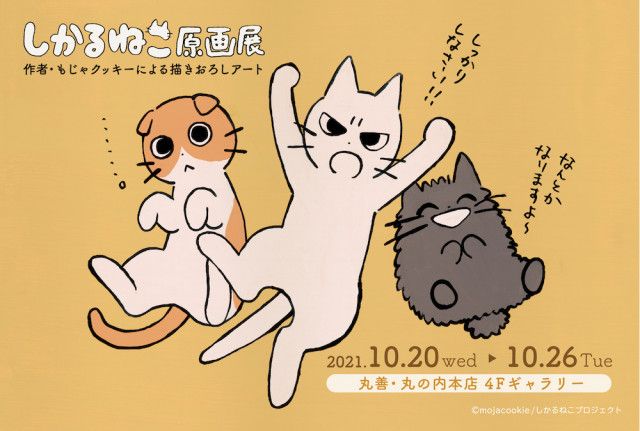 猫キャラ しかるねこ の原画展が初開催 その場でイラストを描いてもらえるサイン会も Cat Press 東京駅近くにある大型書店 丸善 丸の内本店 ｄメニューニュース Nttドコモ