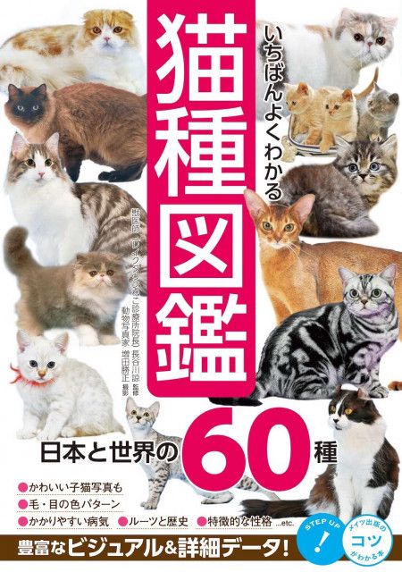 カワイイ を通じてネコへの理解も深まる書籍 いちばんよくわかる猫種図鑑 日本と世界の60種 Cat Press 猫の種類 について豊富なビジュアルと詳細な ｄメニューニュース Nttドコモ