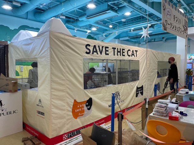 観覧車の下に巨大なネコ型テントが出現！岐阜県最大級の複合型レジャー公園で保護猫の譲渡会が開催中