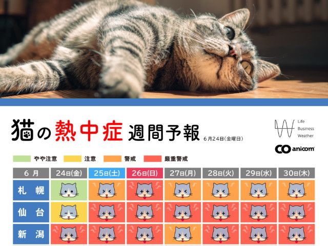 ネコの熱中症注意レベルを4段階で表示してくれる 猫のための 熱中症週間予報 が9月まで配信中 Cat Press 22年の今年はまだ6月後半にもかかわらず ｄメニューニュース Nttドコモ