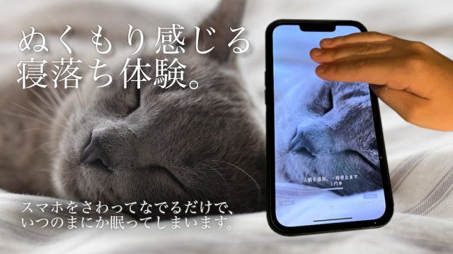 スマホを触りながら寝落ちできるアプリ 睡眠観測 新たに猫のゴロゴロ音が聞けるコンテンツを追加 Cat Press 寝付きの改善に特化したスマートフォン向け ｄメニューニュース Nttドコモ