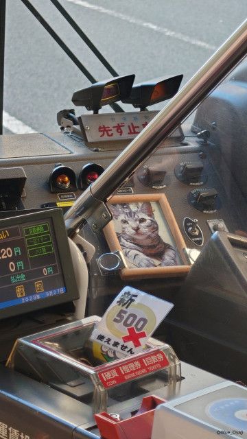 いつものバスに乗車すると…運転席に猫の写真が飾られているのを発見！運転手さんの強い猫愛が伝わってくる光景に思わず感動してしまいそう
