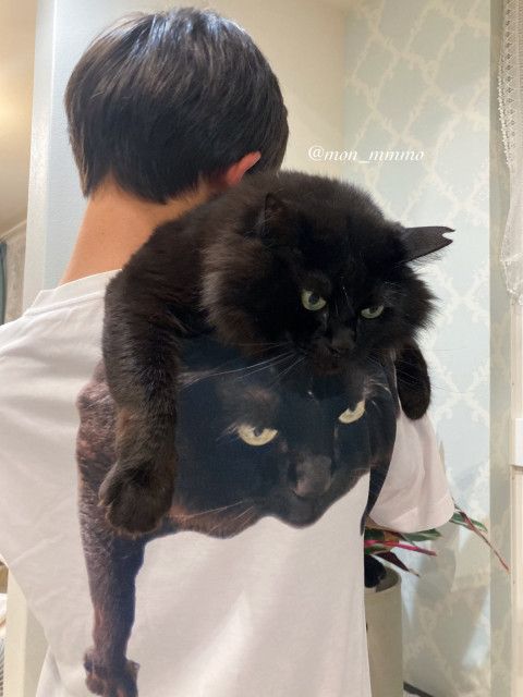 【完全に一致】猫のプリントTシャツを着たご主人に背負われる黒猫ちゃん、境目が分からなくて爆笑の嵐