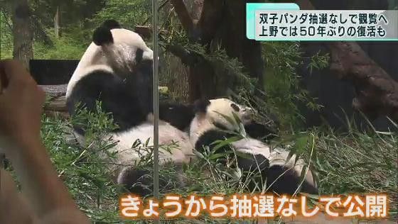 上野動物園の双子パンダ、抽選なしの観覧を開始　街では50年ぶりに復活する施設も