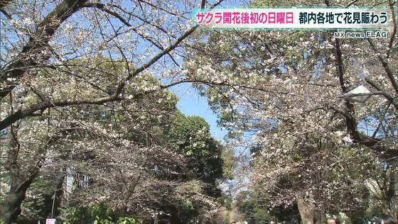 サクラ開花後初の日曜日 都内各所で花見賑わう