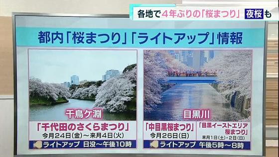 東京都内の「桜まつり」「ライトアップ」情報(3月21日放送)