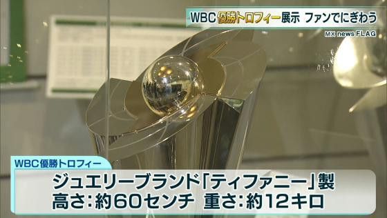 侍ジャパンの“激闘”を間近で!WBC優勝トロフィー展示