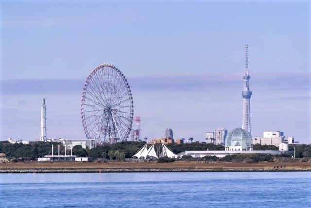 東京で唯一のラムサール条約登録！都会で大自然を感じる葛西海浜公園