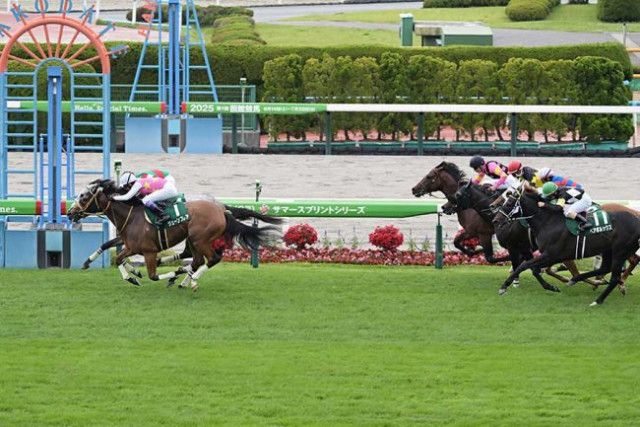 POG】ラインパシオンは大江原比呂で函館2歳Sへ/馬三郎のつぶやき
