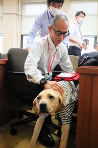 盲導犬、県議会デビュー　委員会に出席の県職員のパートナーとして