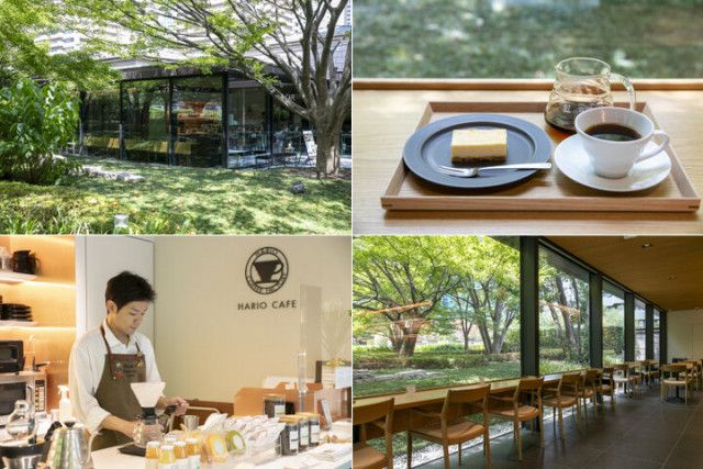 六本木にある美術館併設の路面店「HARIO CAFE」で、コーヒーと緑に癒やされるひと時を
