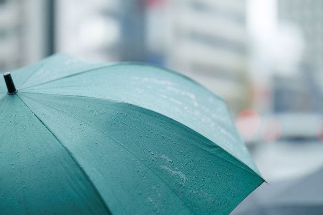 変わる日本の「傘」事情　“平均で4.2本を所有”が減る？意外な立役者とは