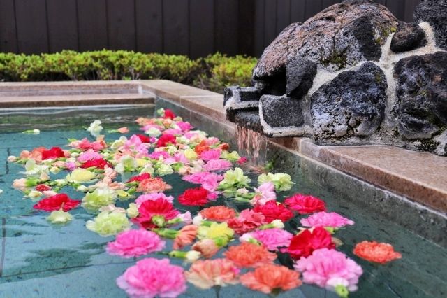 富士眺望の湯ゆらり　毎月26日はお風呂の日！5月は「カーネーションの湯」