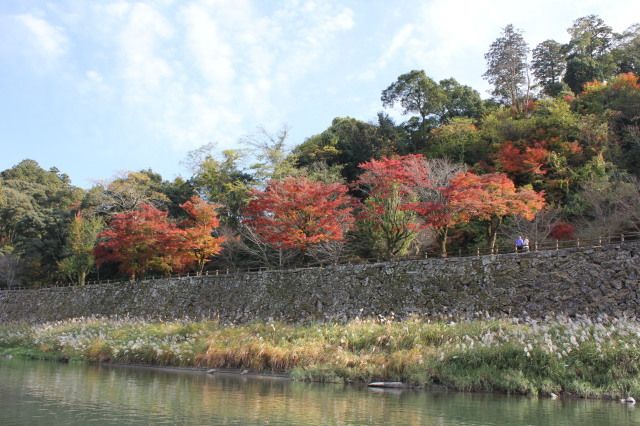 【紅葉・見ごろ】人吉城跡周辺　球磨川沿岸