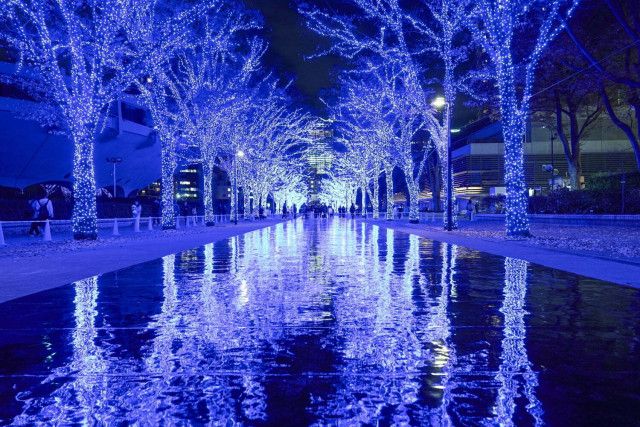 青の洞窟 SHIBUYA」渋谷が“青一色”に染まる冬イルミネーション、代々木 ...