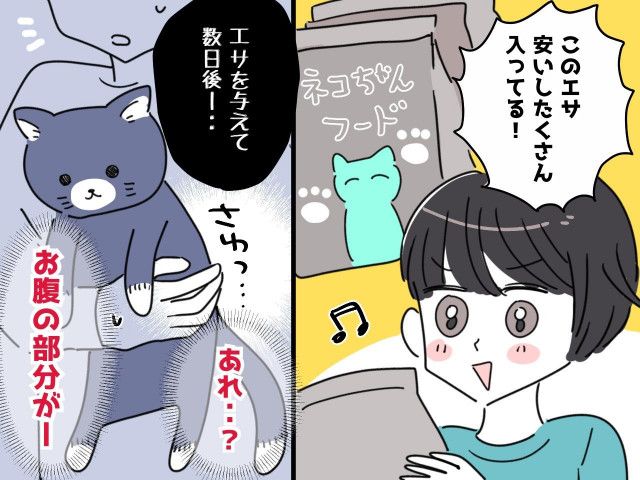 まさか】愛猫のエサを新しくしたら → 数日後「あれっ」抱き上げた瞬間、お腹に違和感が！ 実は？（ftn-fashion trend  news-）｜ｄメニューニュース（NTTドコモ）