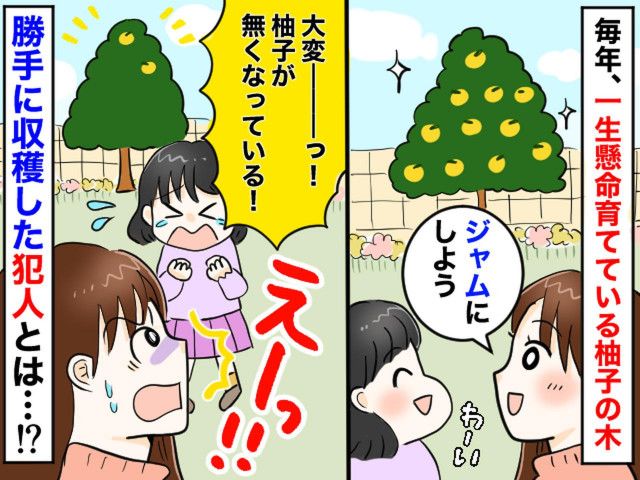 うちの庭の柚子が消えた！？ 」張り込みの末に見つけた