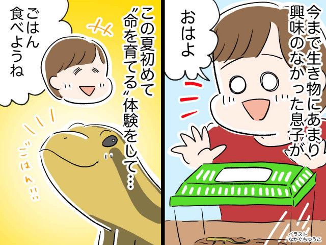 ゲームばかりだった息子が、トカゲを飼い始めて激変！ → 親が