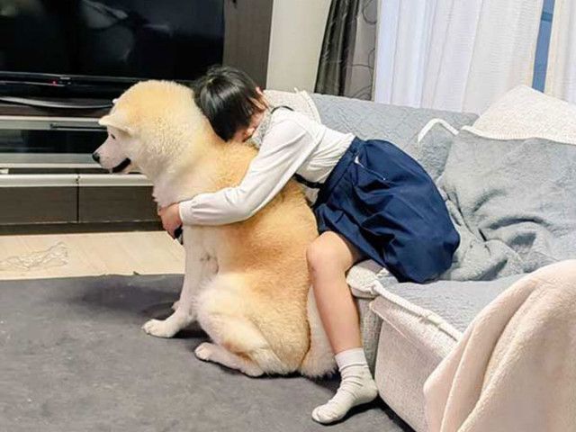 秋田犬と小学生の写真にキュン！　帰宅後の行動に「絆を感じる」