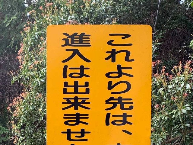 山奥の看板をよく見ると？ 『ひと言』に「バカがいるんだろうな」「最後の警告」（grape）｜ｄメニューニュース（NTTドコモ）