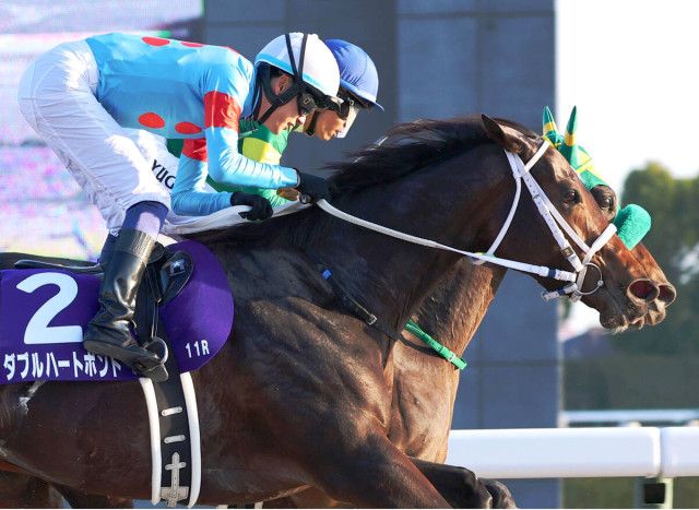 チャンピオンズC】わずか9センチ差！ダブルハートボンド、激闘制し