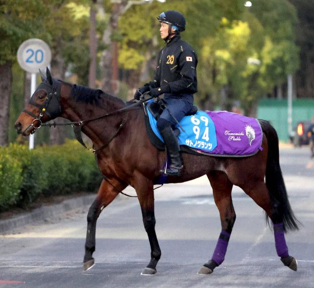 注目馬動向・古馬】重賞2勝の実力馬サトノグランツが日経新春杯で復帰