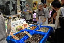 函館の「朝どれ」鮮魚、新幹線で首都圏に　イオングループのスーパーで販売
