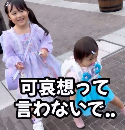 ハーネスをつけた子供を見た人たちが 虐待 うわっ子供可哀想w と