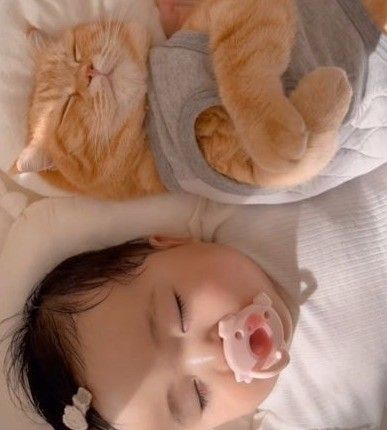 お昼寝する赤ちゃんと猫 しかしよく見ると…「これ以上、幸せ溢れる映像