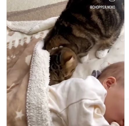 お昼寝する赤ちゃん　そこに猫ちゃんがそーっとやってきて…→猫ちゃんの行動に「癒される」「優しい」の声
