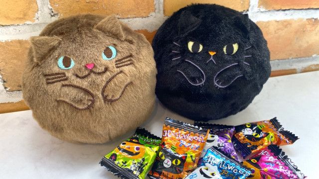 完売続出【カルディの猫ポーチに悶絶！ 】ハロウィンのネコお菓子2024（イエモネ）｜ｄメニューニュース（NTTドコモ）