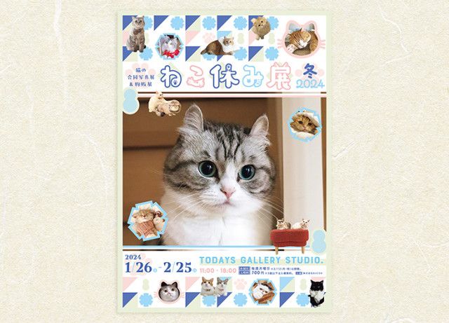 ねこ休み展 冬 2024」が浅草橋のTODAYS GALLERY STUDIO.で開催！キュートな“ねこ まみれ”の空間で癒されませんか？（いろはめぐり）｜ｄメニューニュース（NTTドコモ）